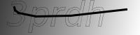 captcha verification