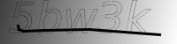 captcha verification