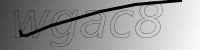 captcha verification